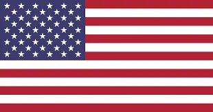 american flag-Davis