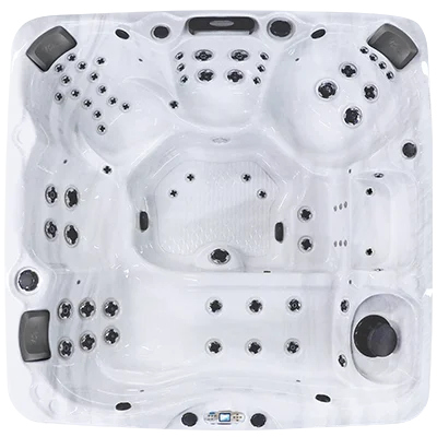 Avalon EC-867L hot tubs for sale in Davis